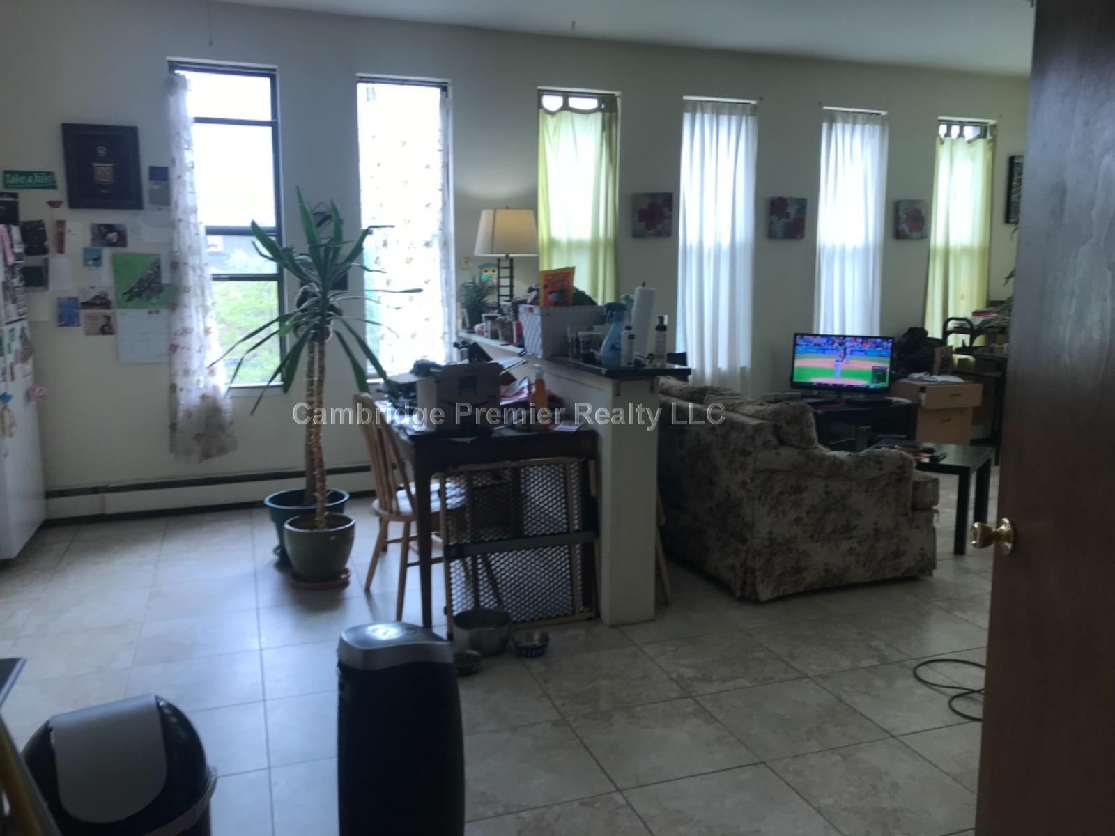 247 Pearl St, Winter Hill