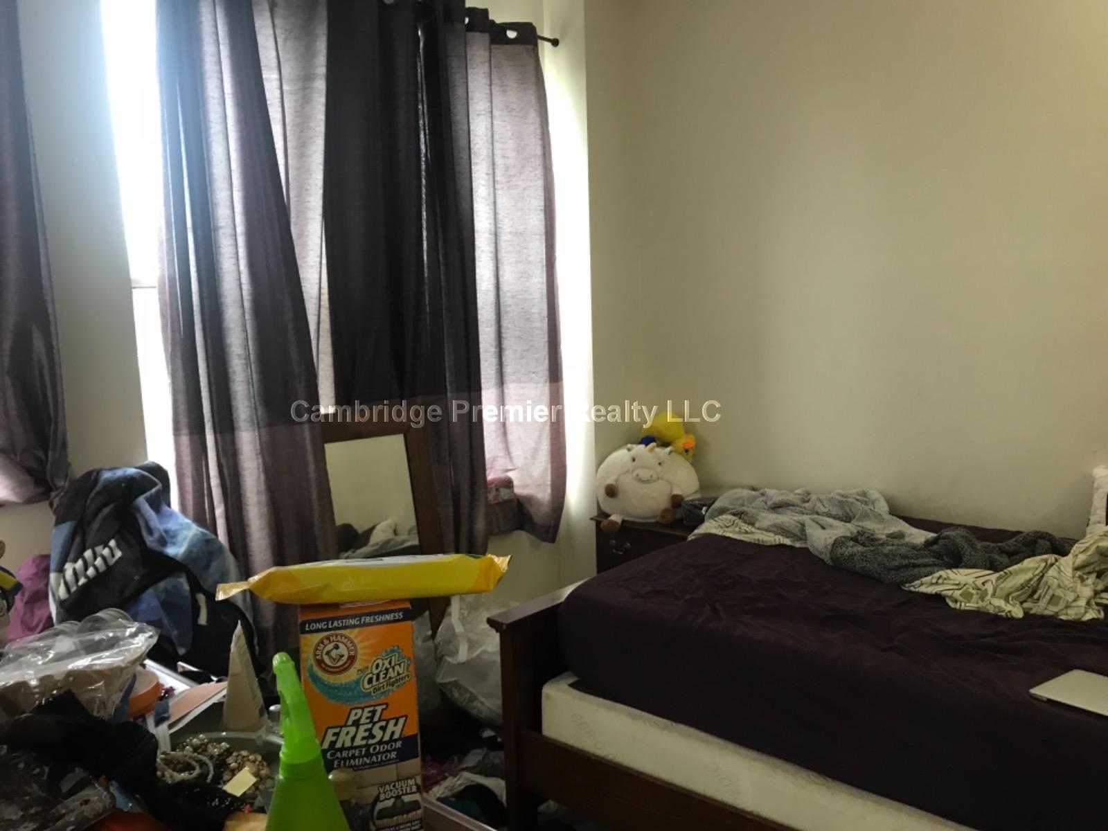 247 Pearl St, Winter Hill