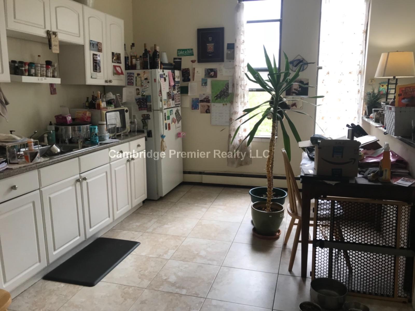 247 Pearl St, Winter Hill