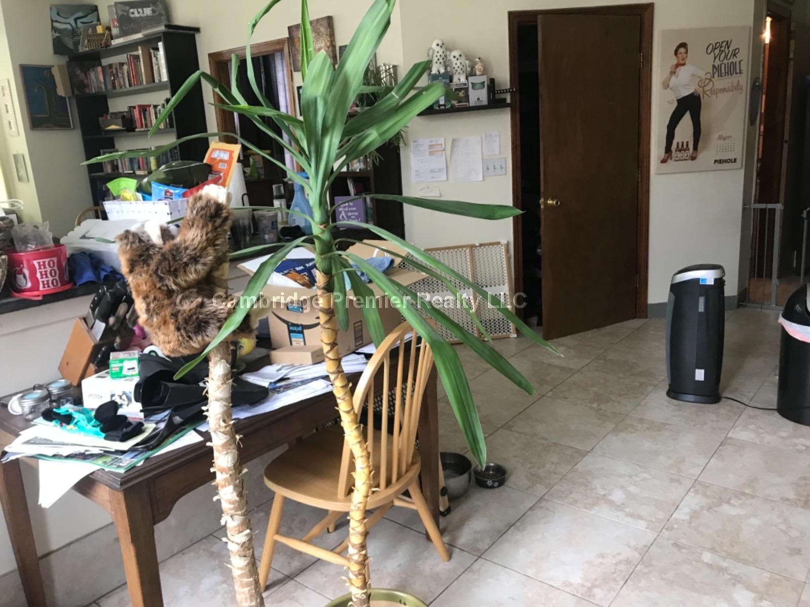 247 Pearl St, Winter Hill