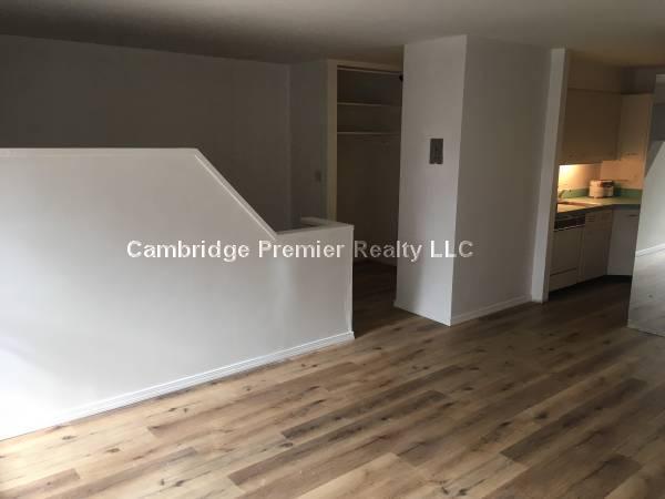 29 Concord Ave, Neighborhood Nine