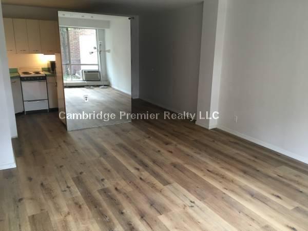 29 Concord Ave, Neighborhood Nine