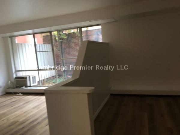 29 Concord Ave, Neighborhood Nine