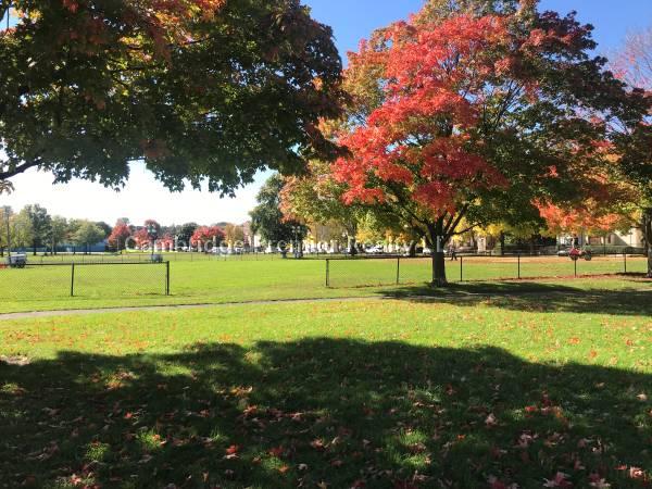 48 Fellsway, East Somerville