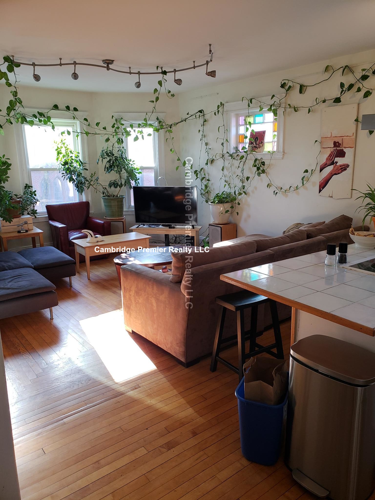 229 Harvard St, Central Square