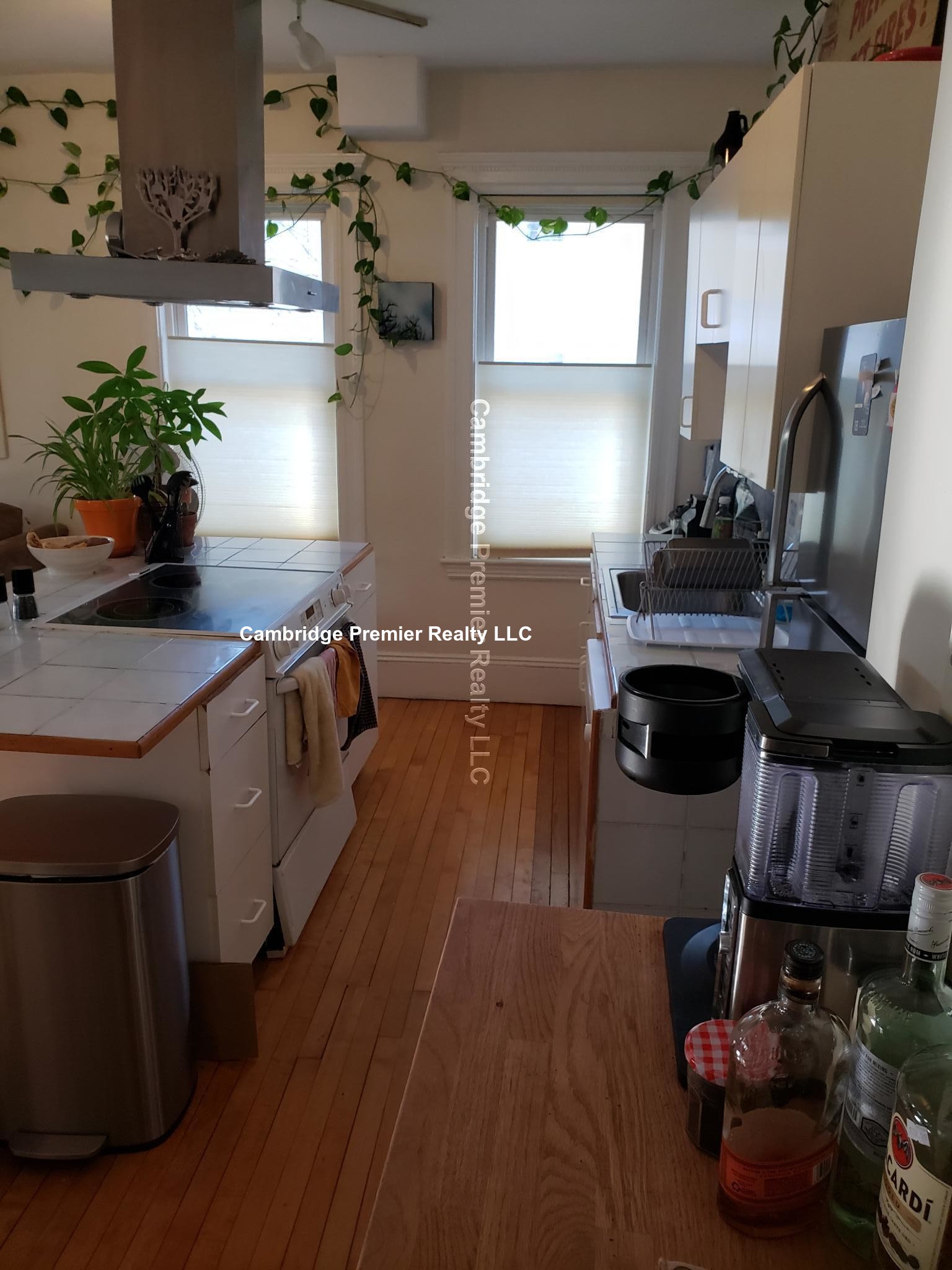 229 Harvard St, Central Square