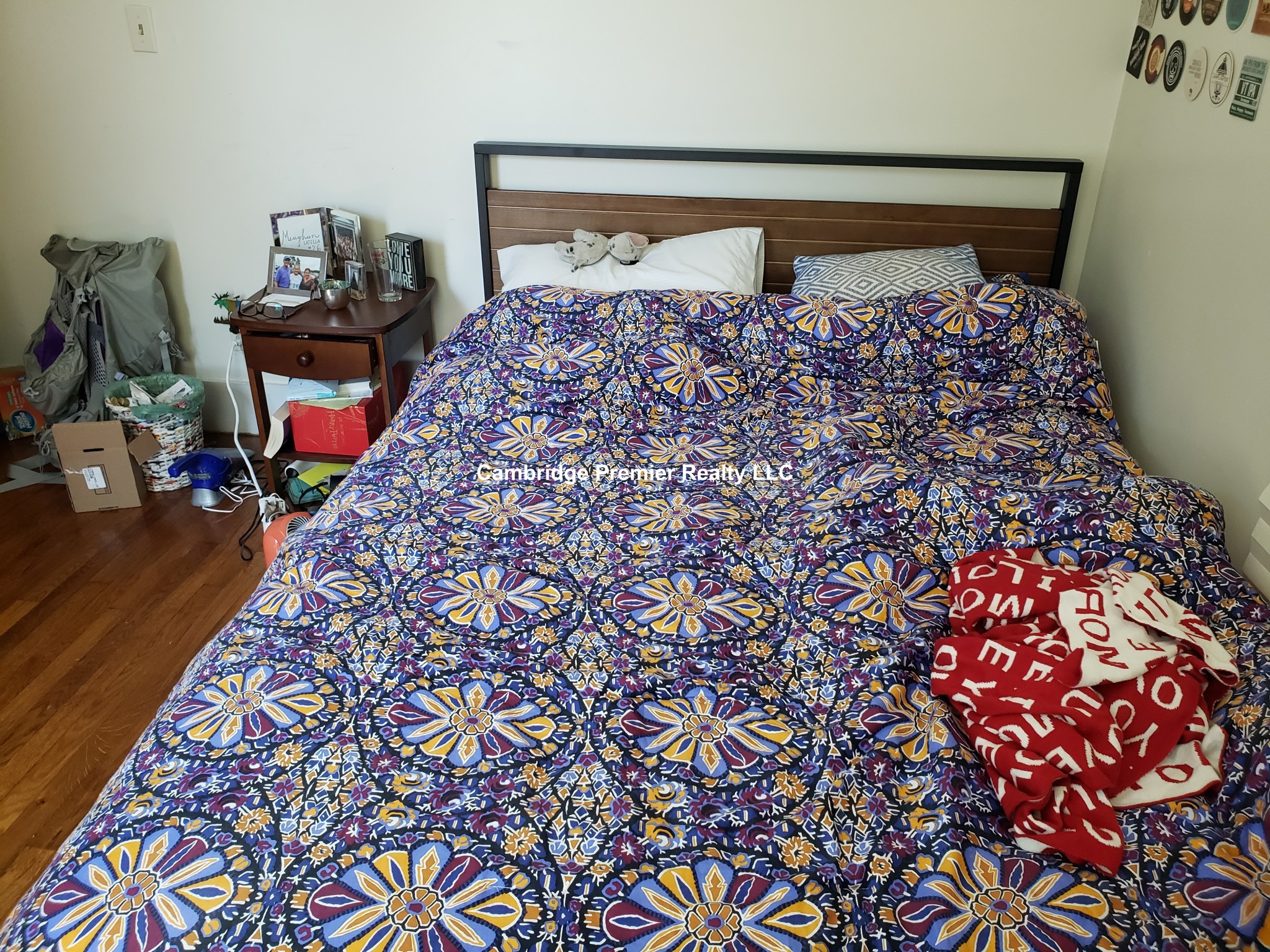 9 Gould Ave, Spring Hill