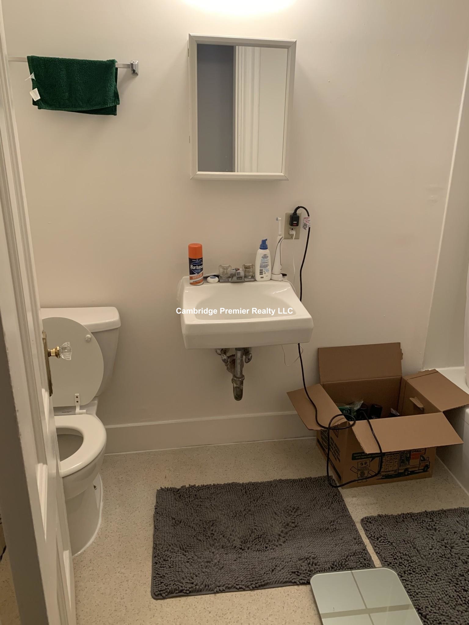 1039 Massachusetts Ave, Central Square