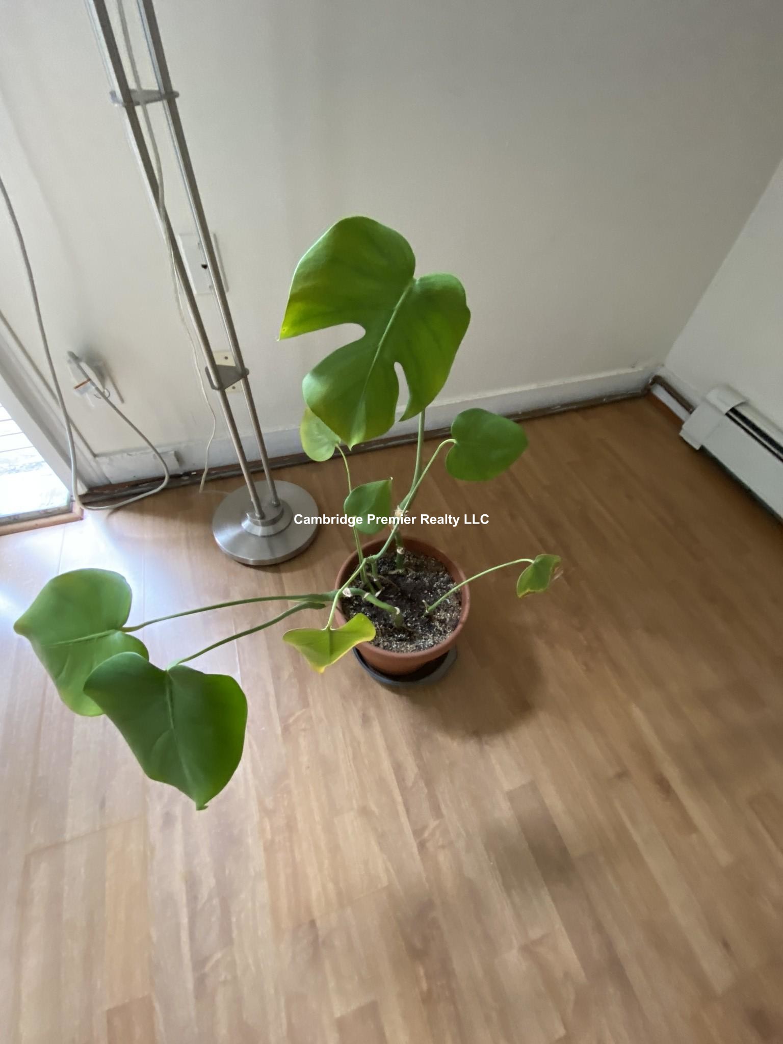 150 Pearl St, Central Square