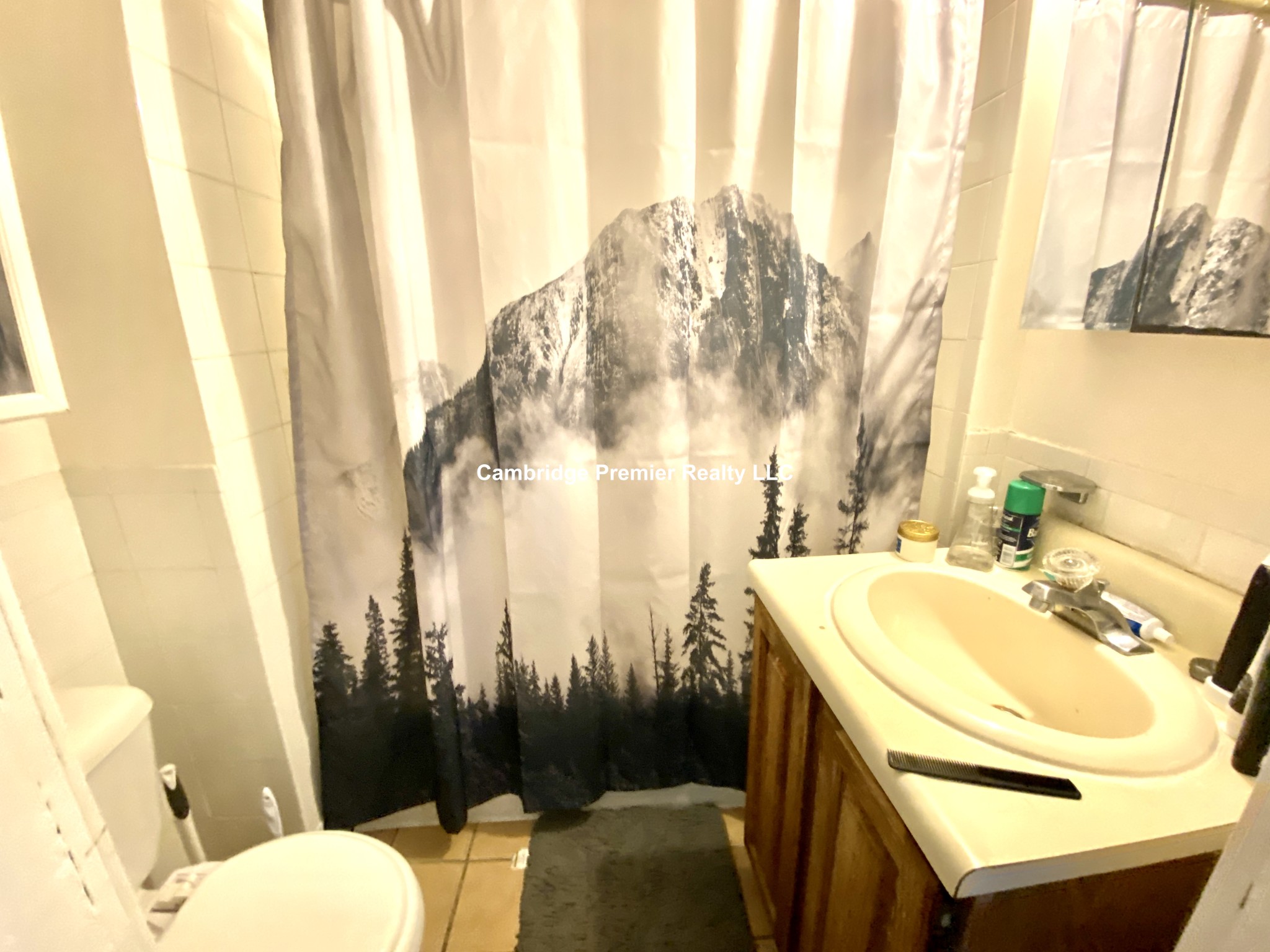 217 Beacon St, Porter Square