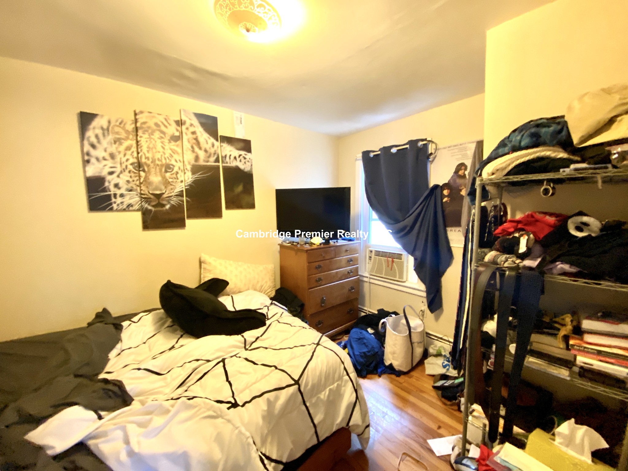 217 Beacon St, Porter Square