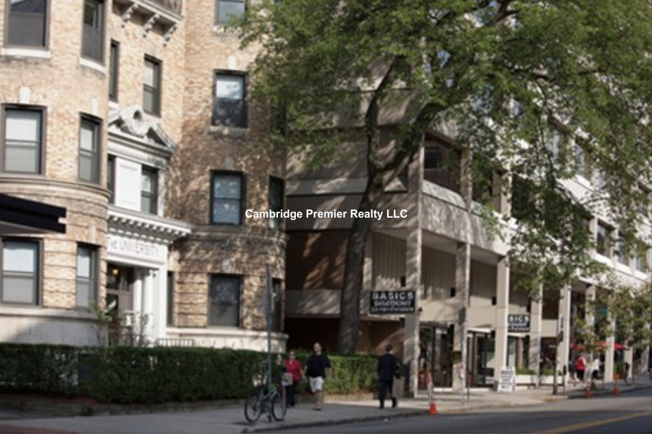 1039 Massachusetts Ave, Central Square