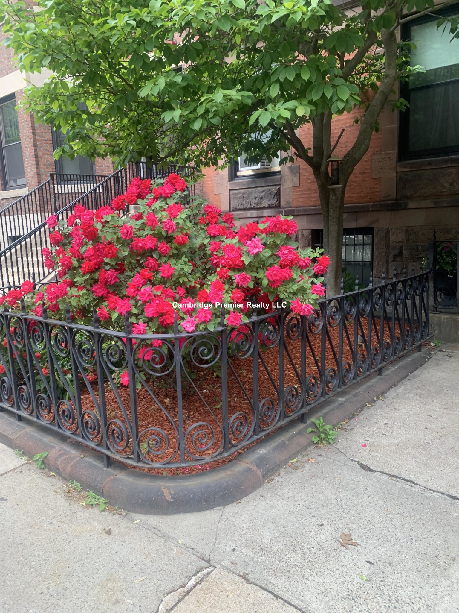 504 Beacon St, Back Bay