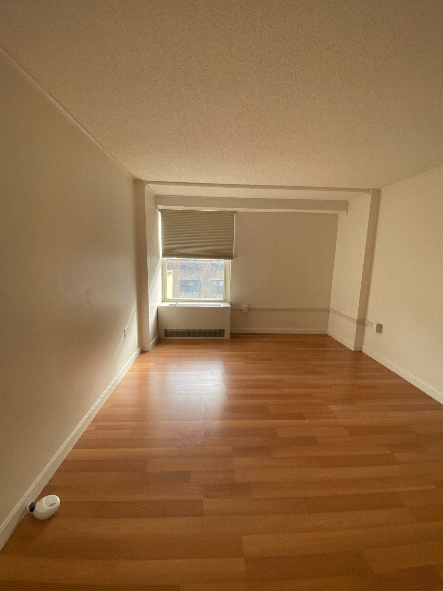 295 Harvard St, Cambridgeport