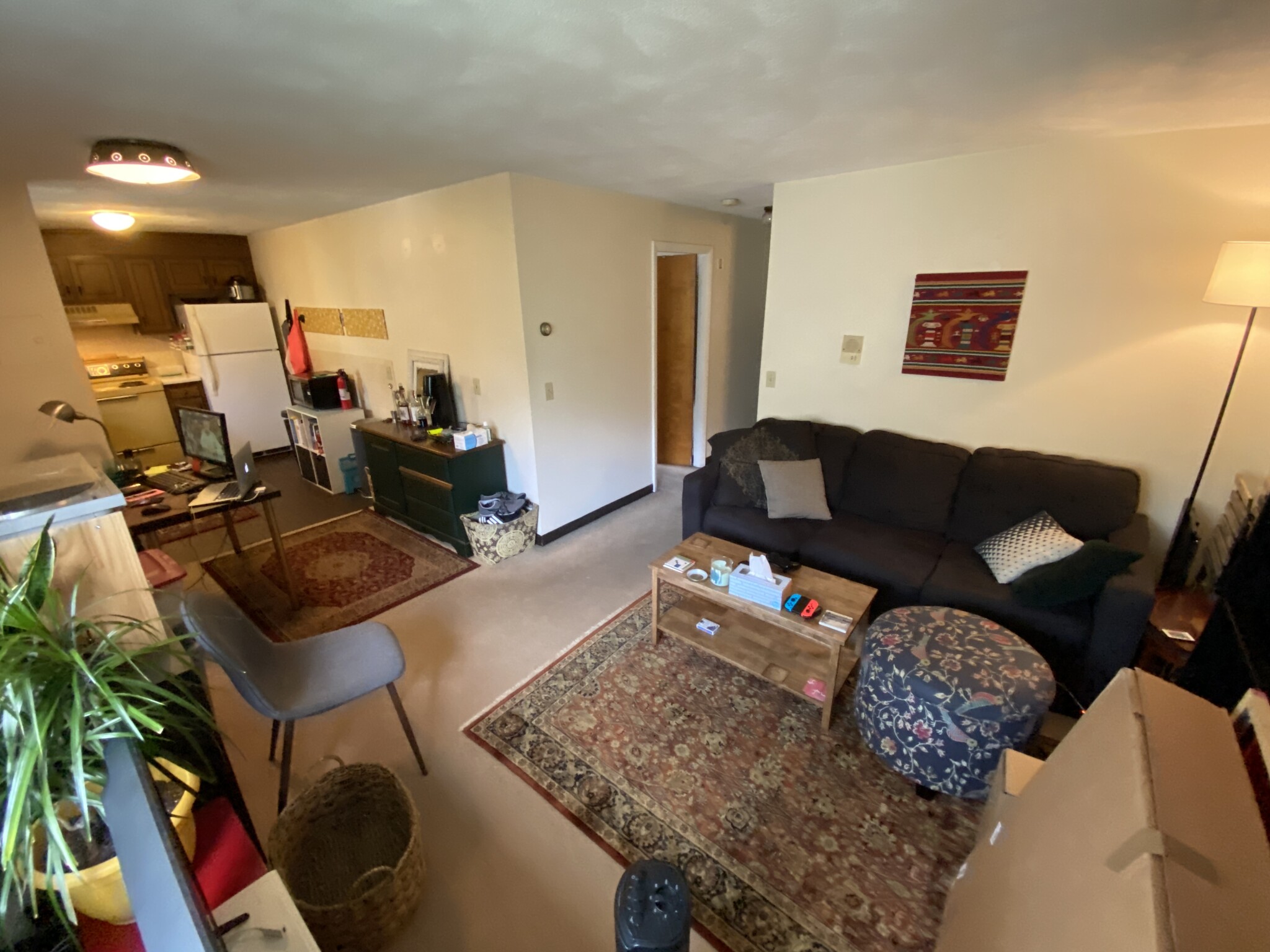 86 Newbury St, Davis Square