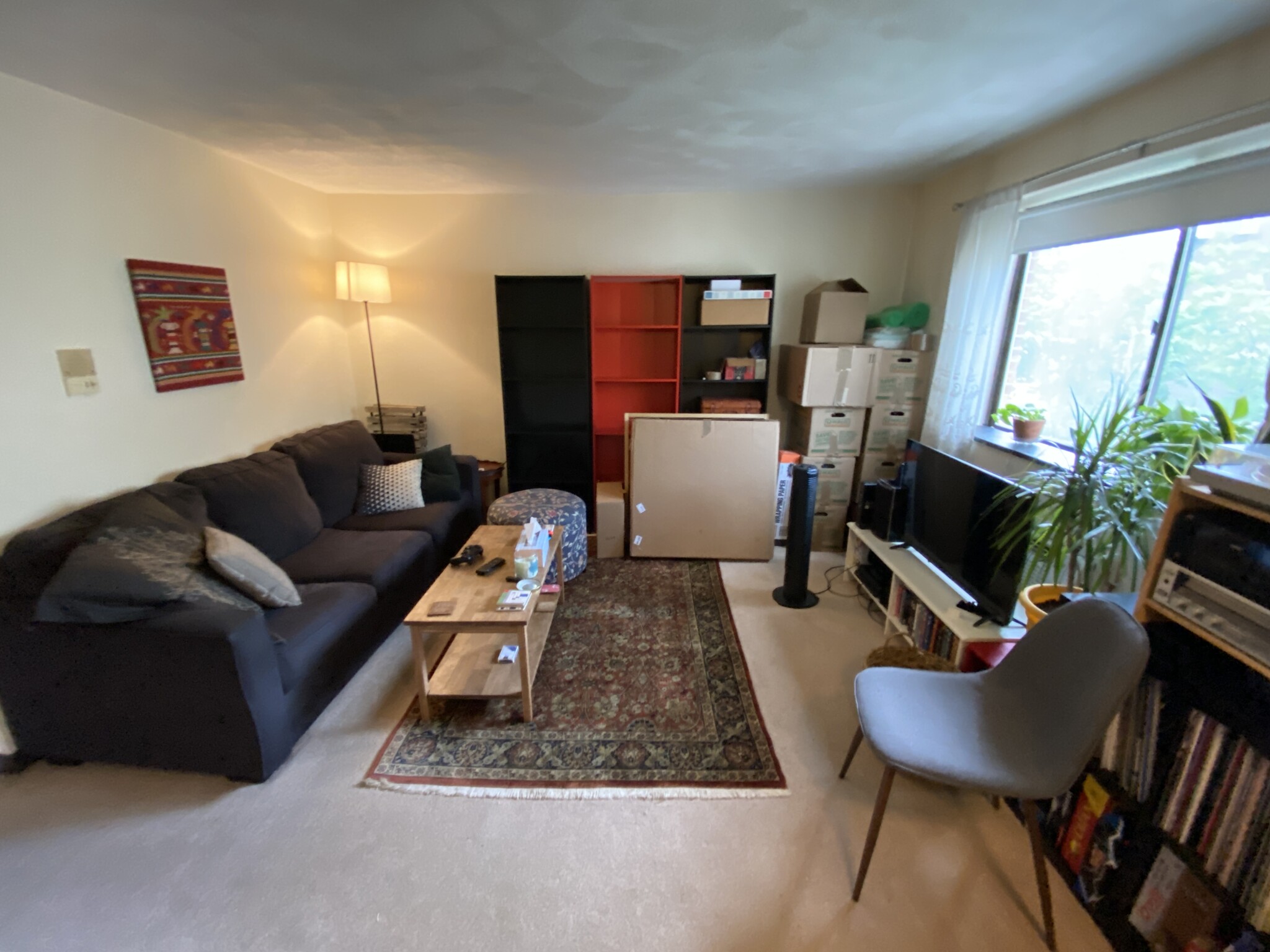 86 Newbury St, Davis Square