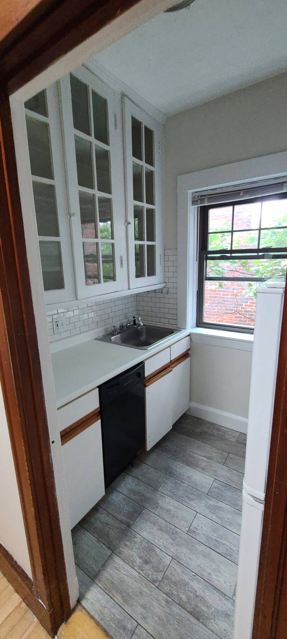 5 Linnaean St, Neighborhood Nine