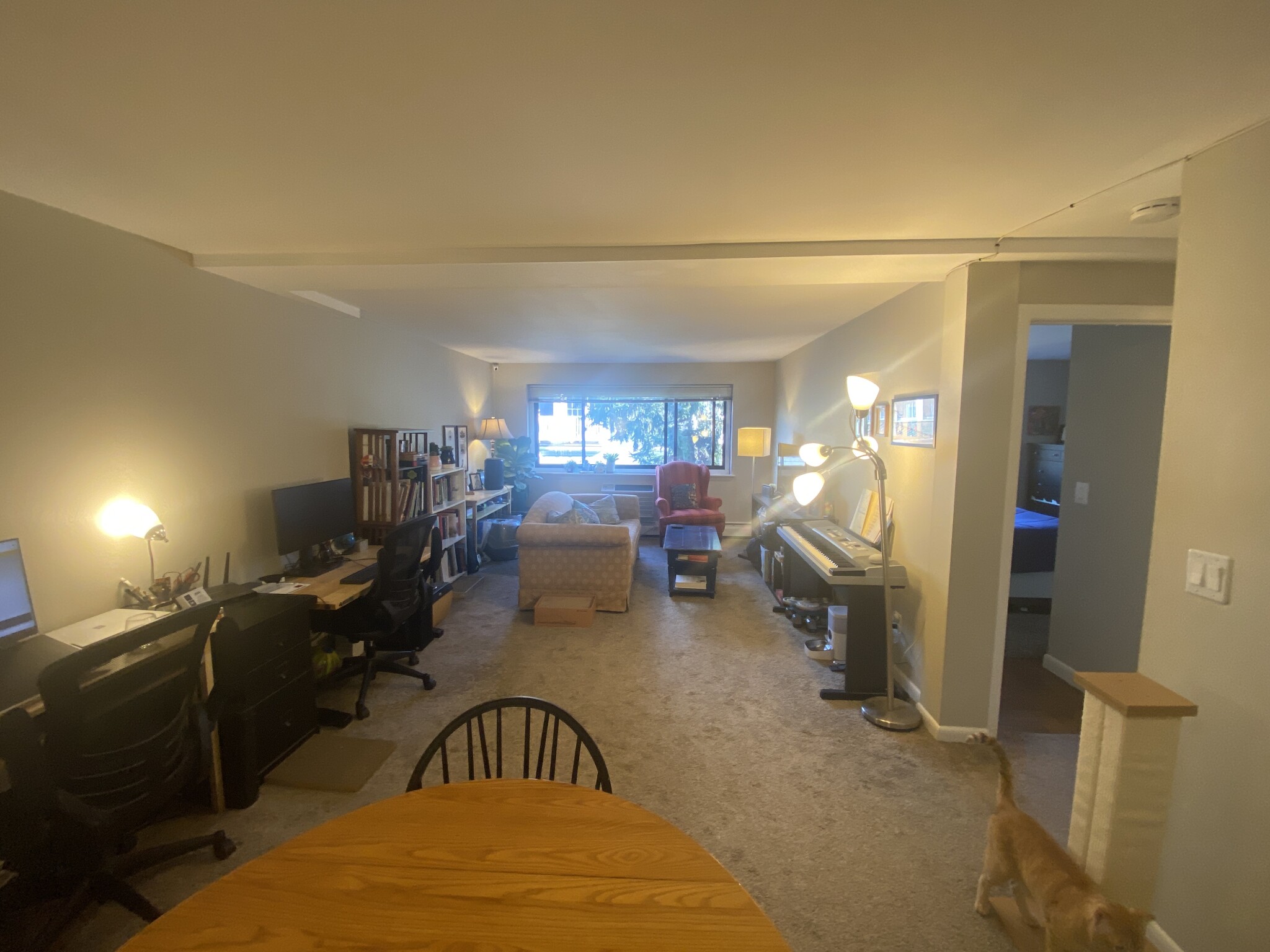 375 Harvard St, Mid Cambridge