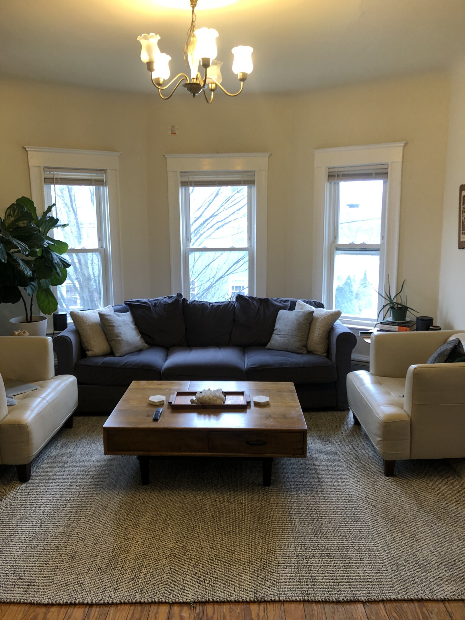 147 Willow Ave, Davis Square