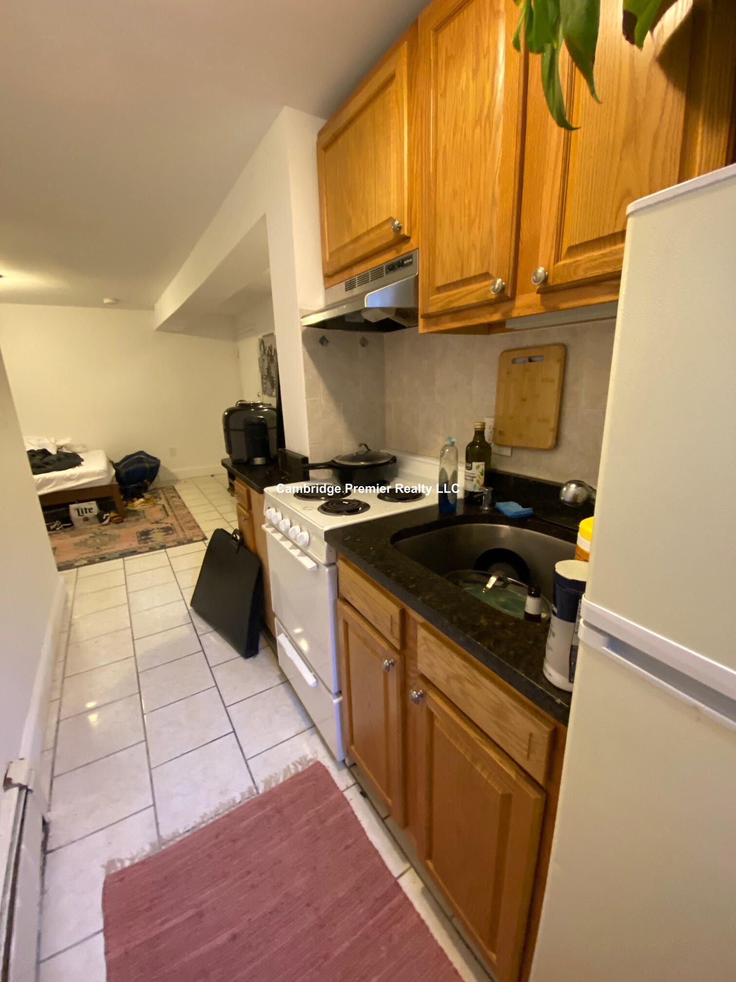 4 Ellsworth Ave, Mid Cambridge