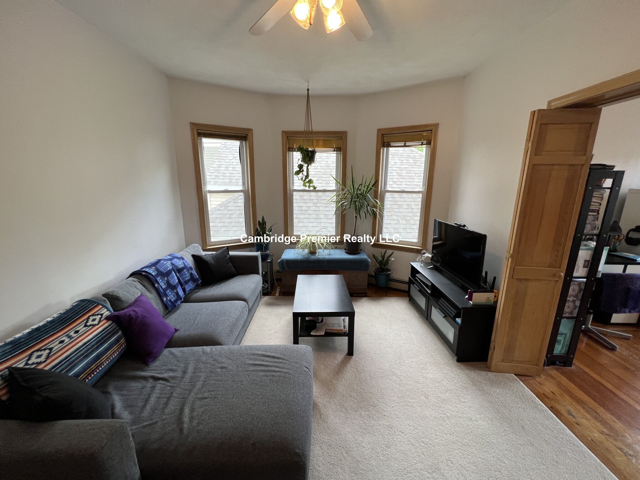 82 Park Ave, Strawberry Hill