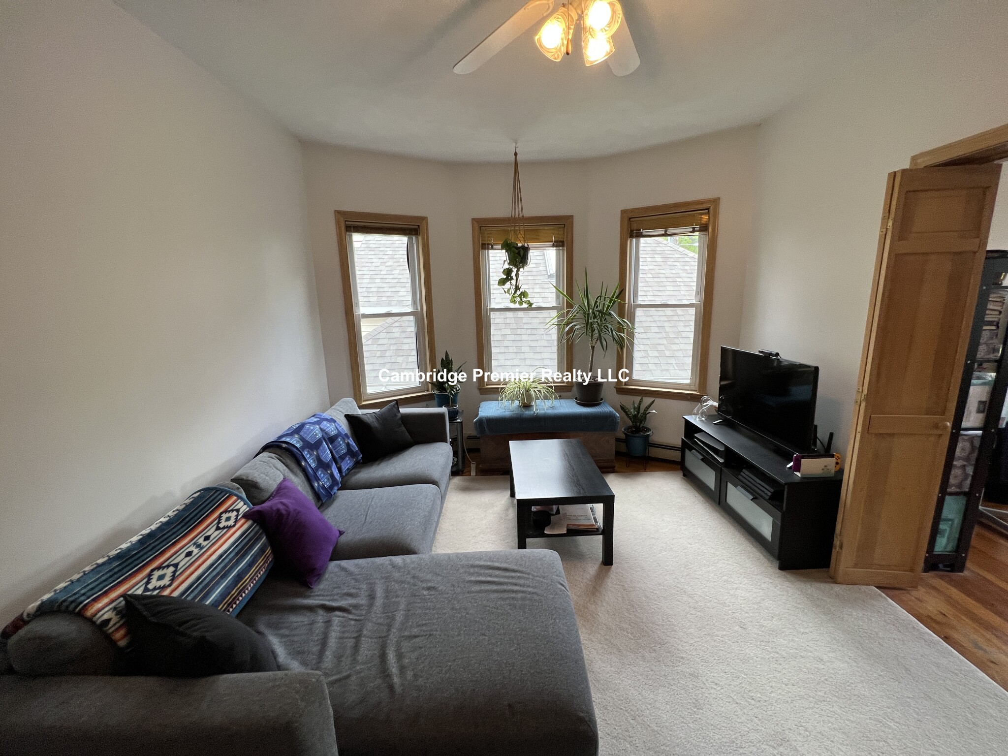 82 Park Ave, Strawberry Hill