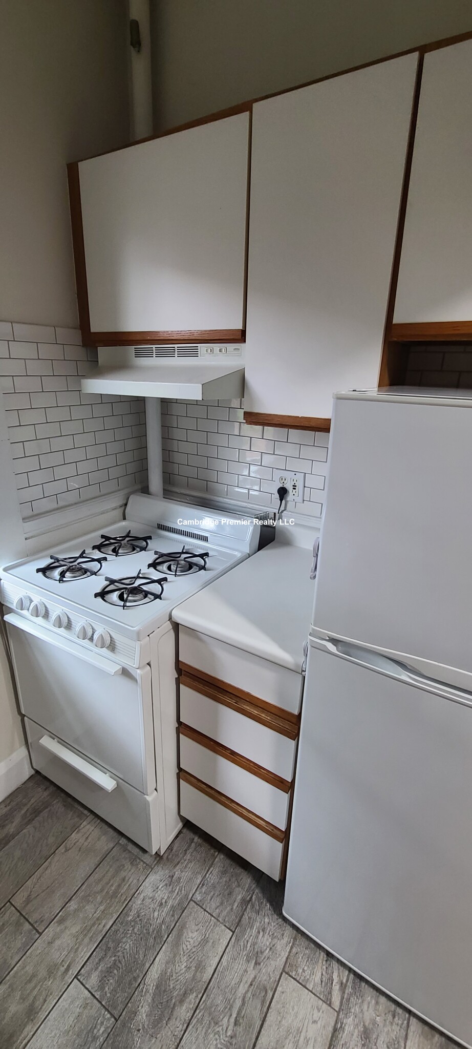 5 Linnaean St, Neighborhood Nine