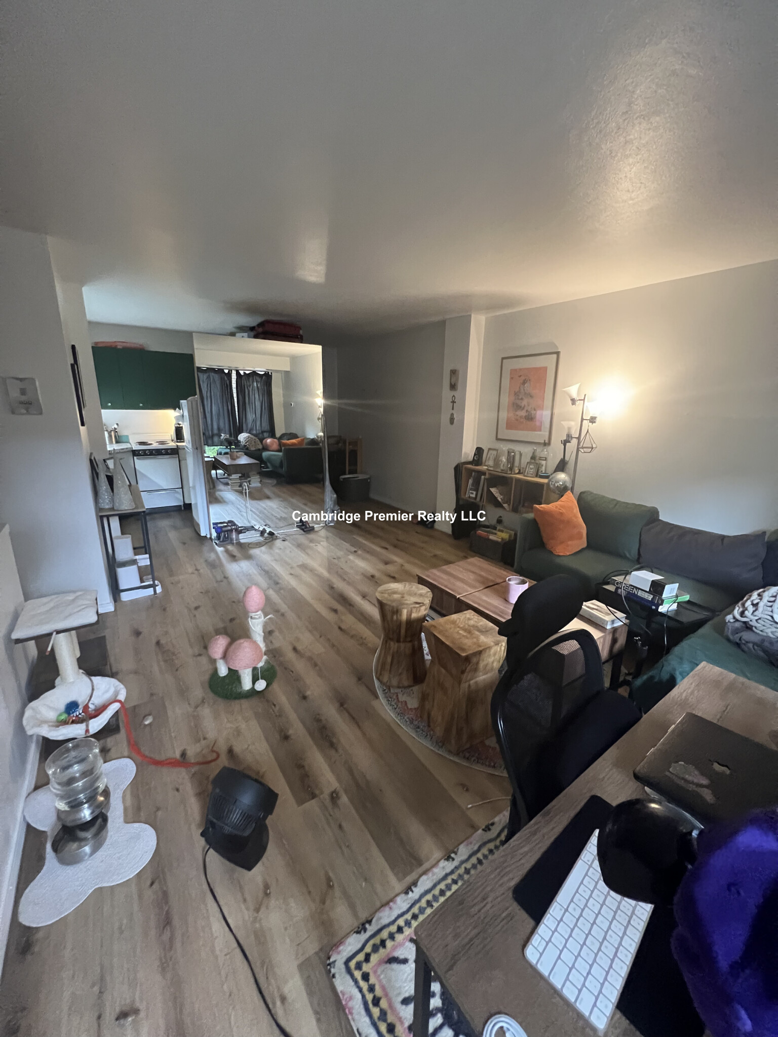 29 Concord Ave, Neighborhood Nine