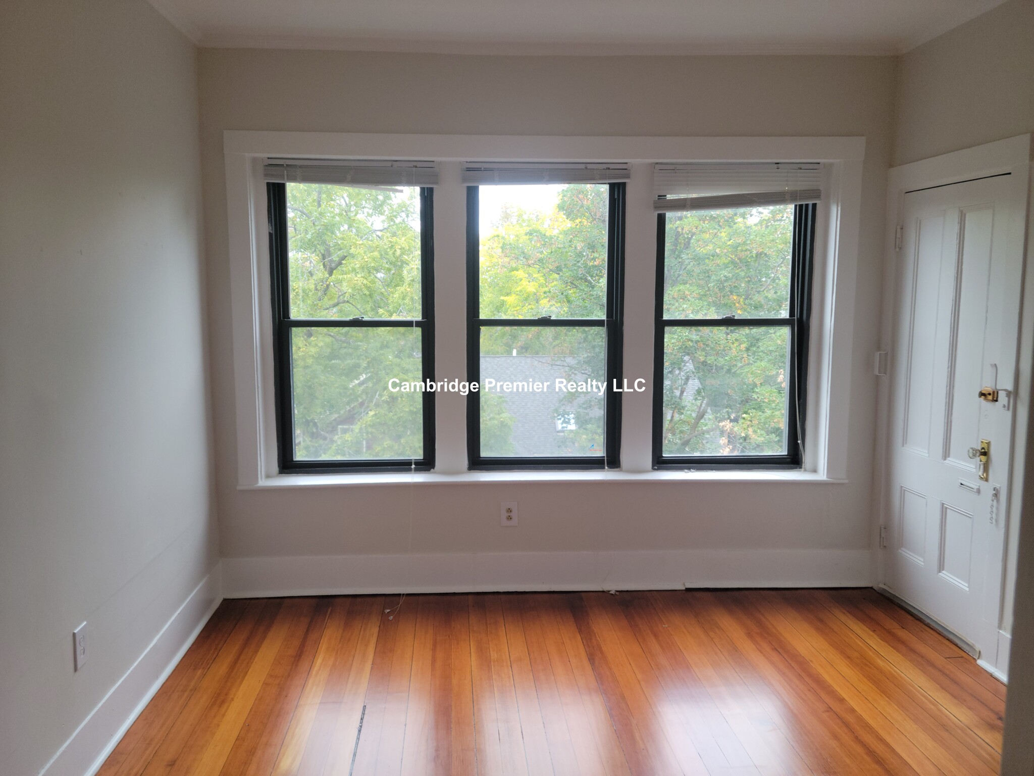 1039 Massachusetts Ave, Central Square