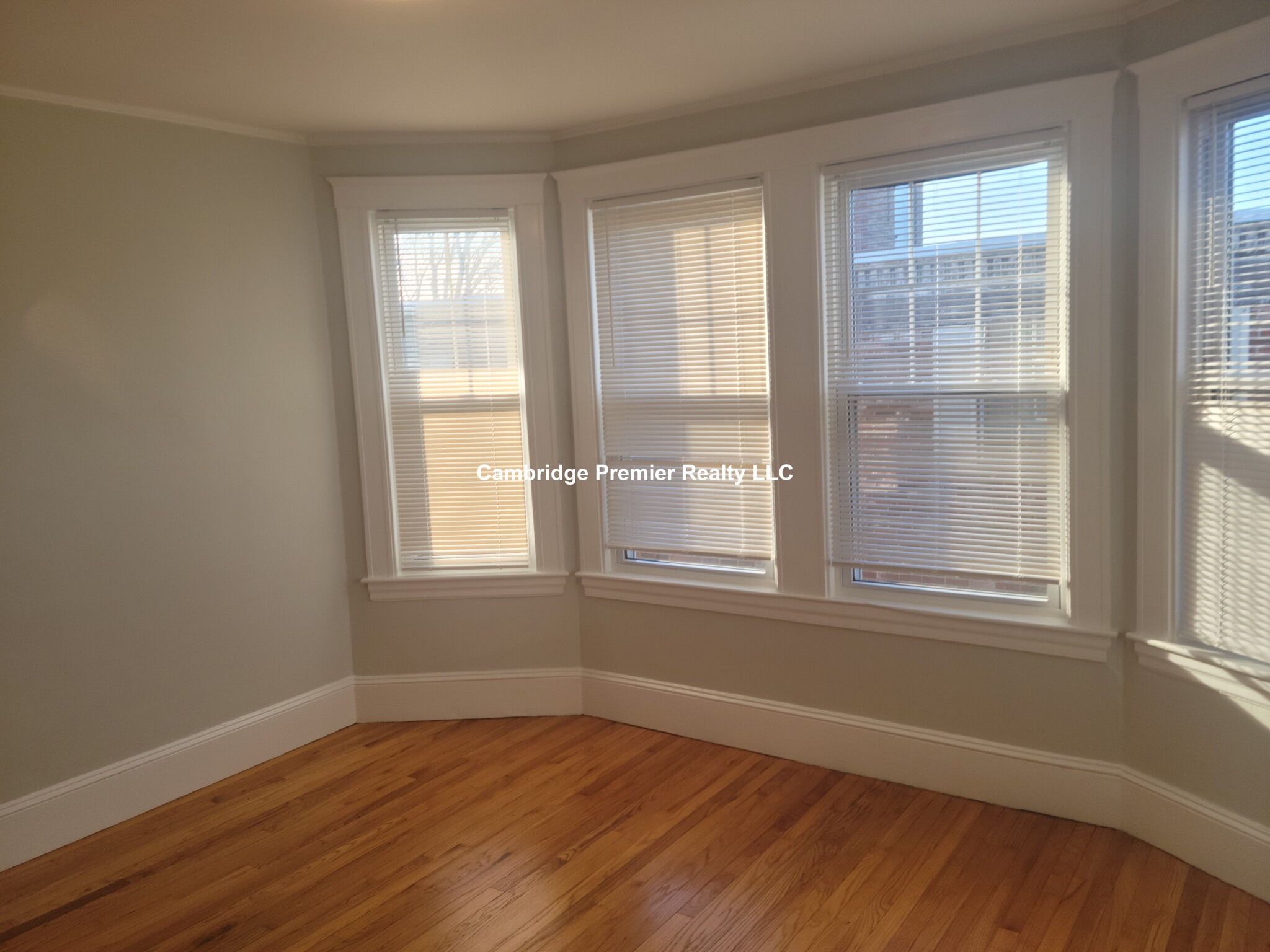 156 Summer St, Spring Hill