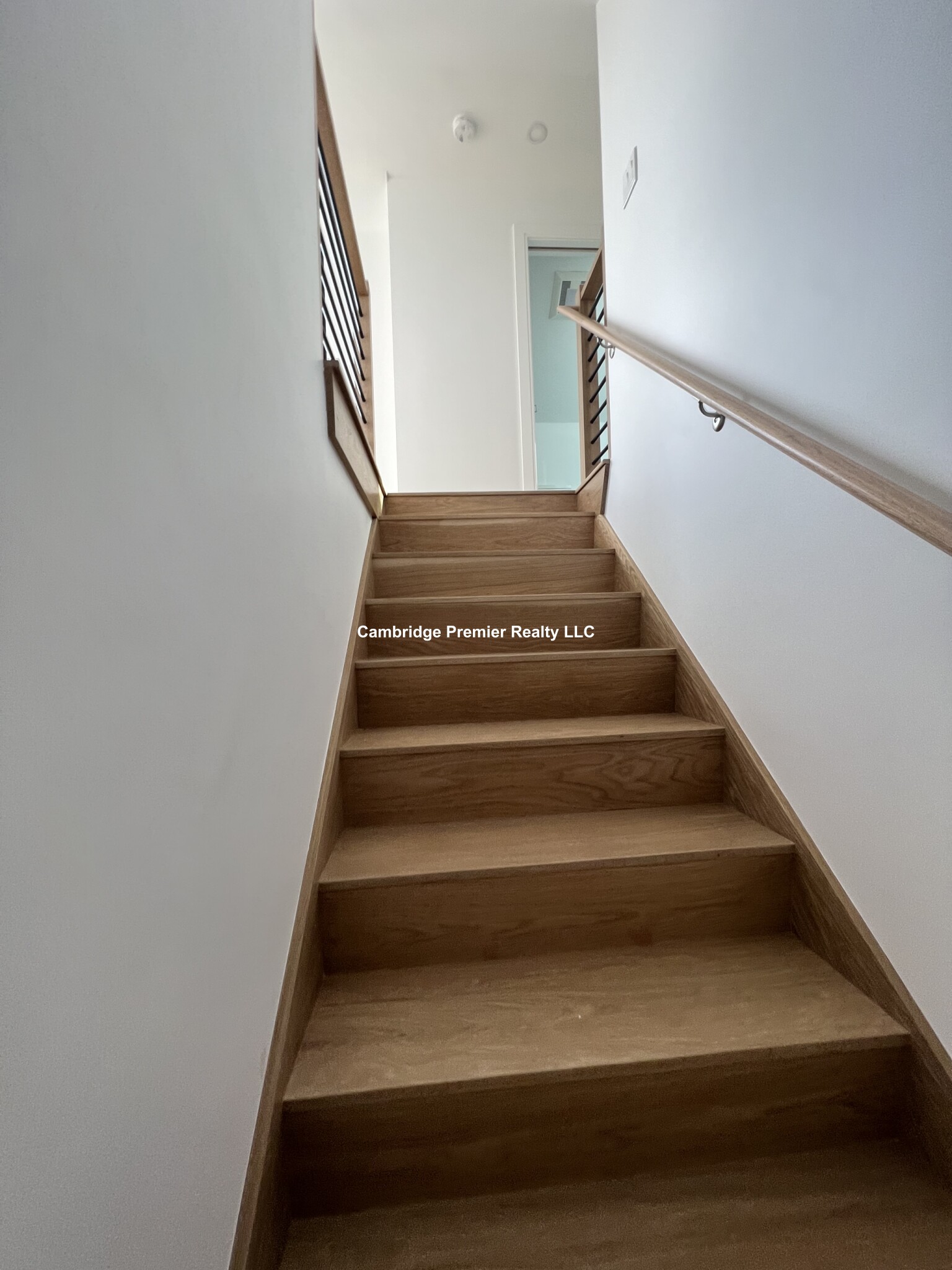 12 Copley St, Neighborhood Nine