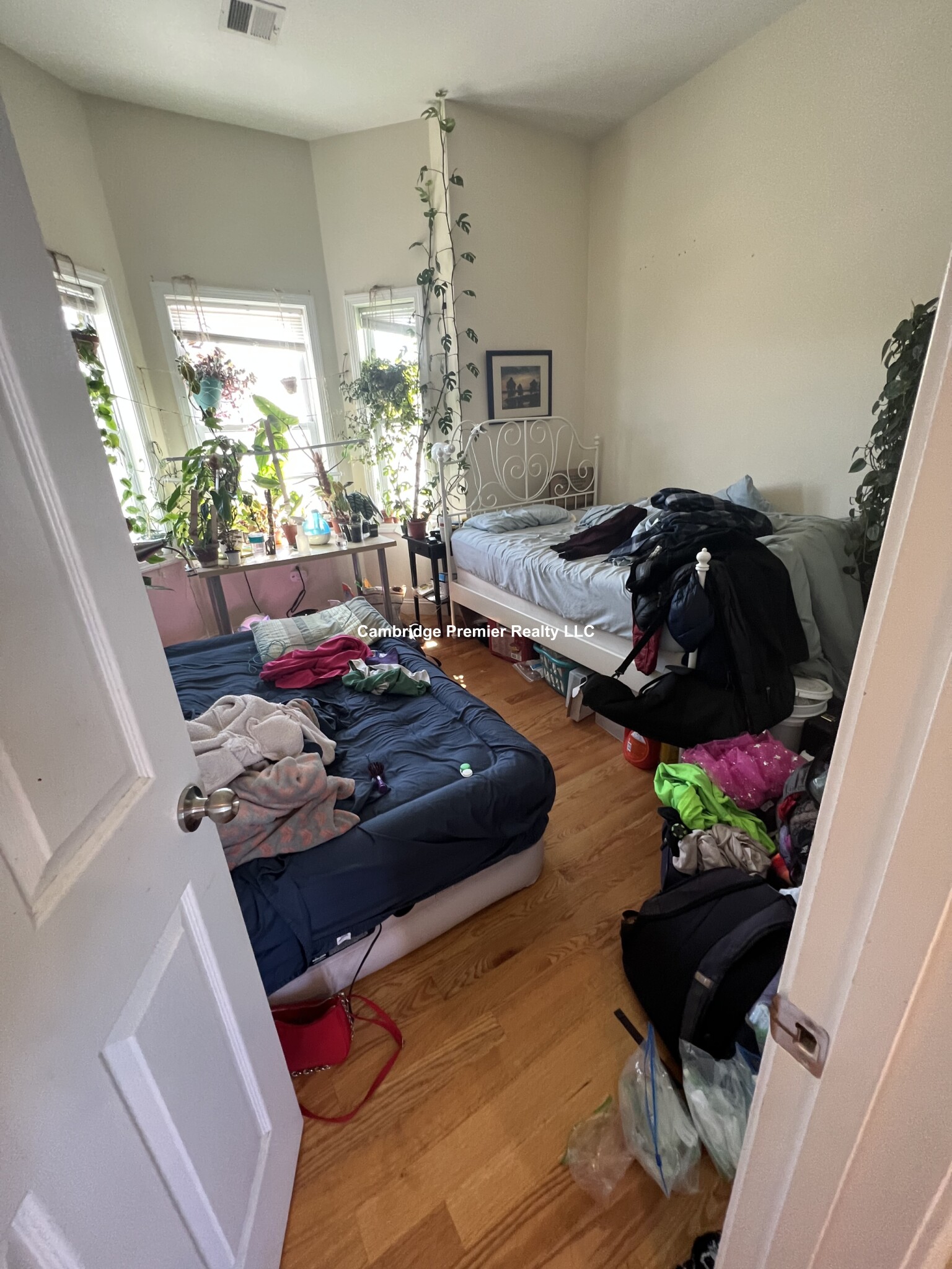 142 Holland St, Davis Square