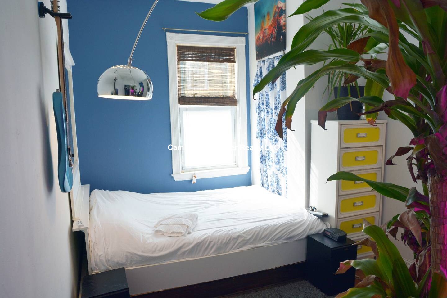 1 Whitney St, Mission Hill