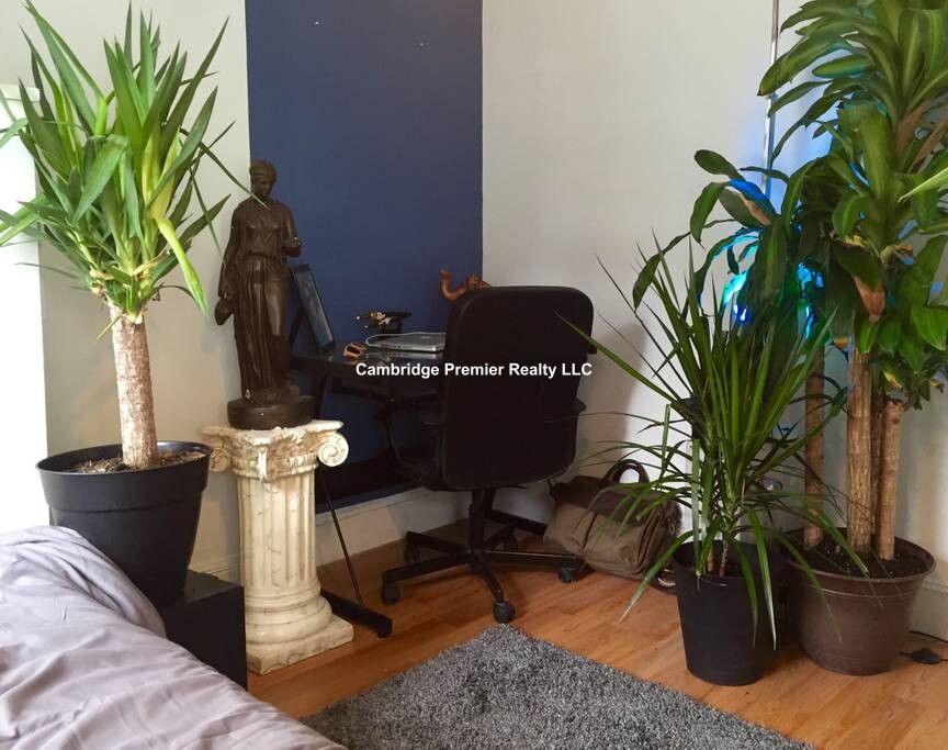 1 Whitney St, Mission Hill