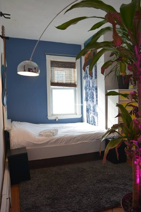 1 Whitney St, Mission Hill