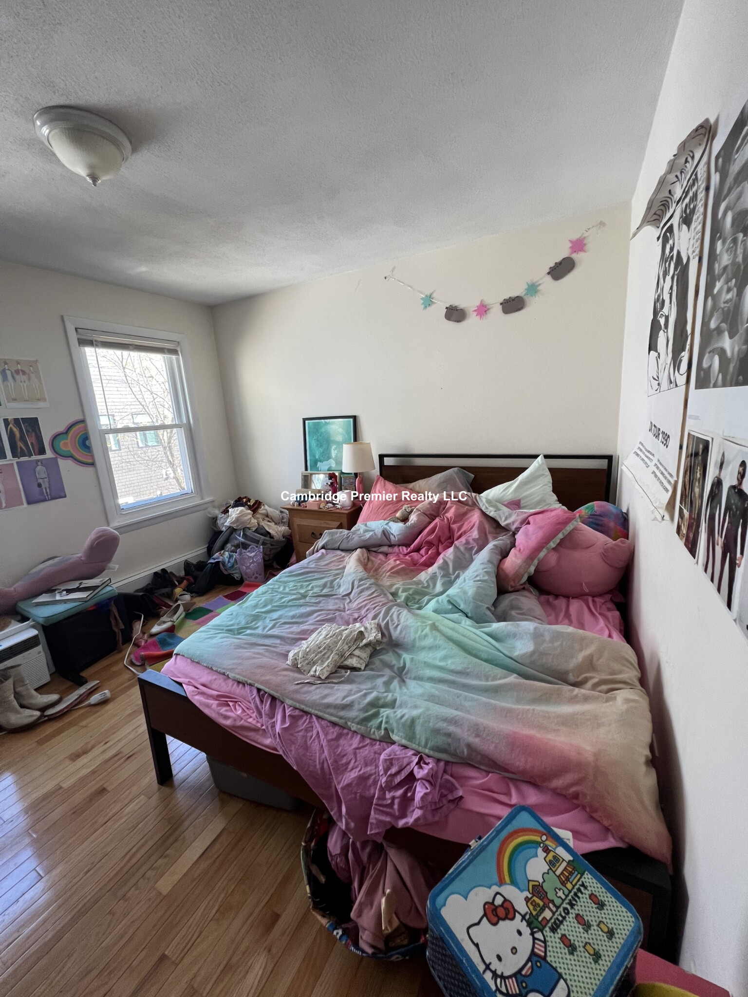 17 Pine St, Cambridgeport