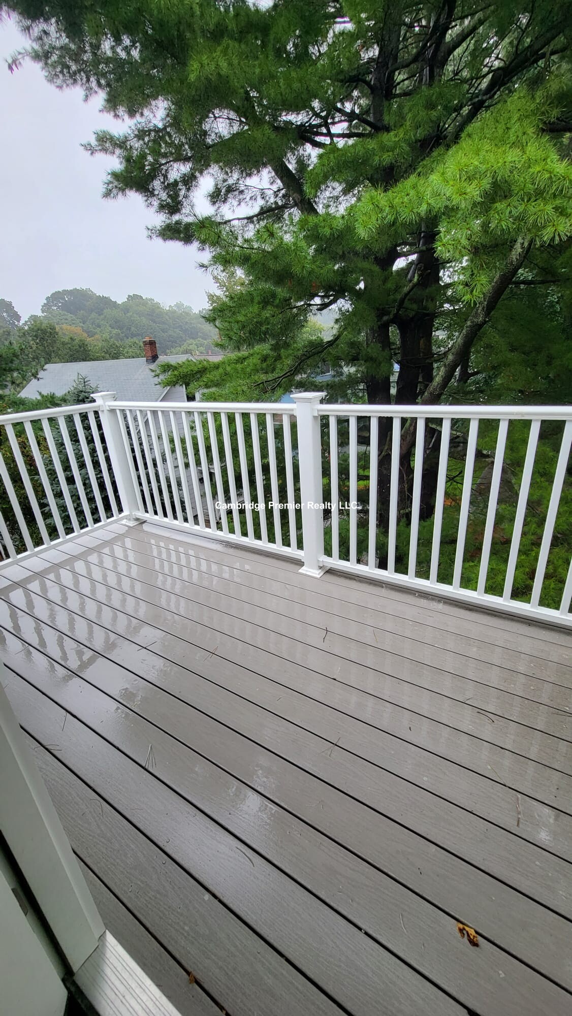 10 Belmont St, Newton Corner