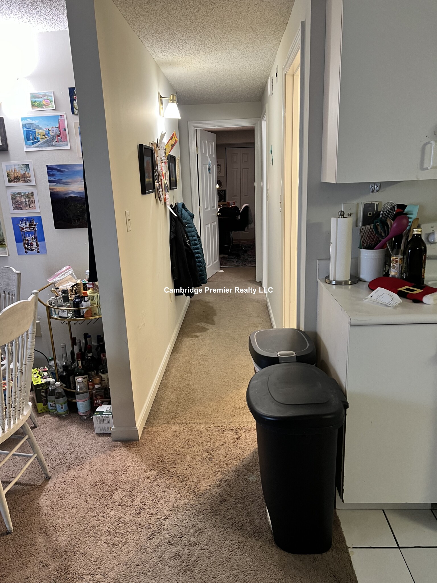 16 Elmer St, West Cambridge