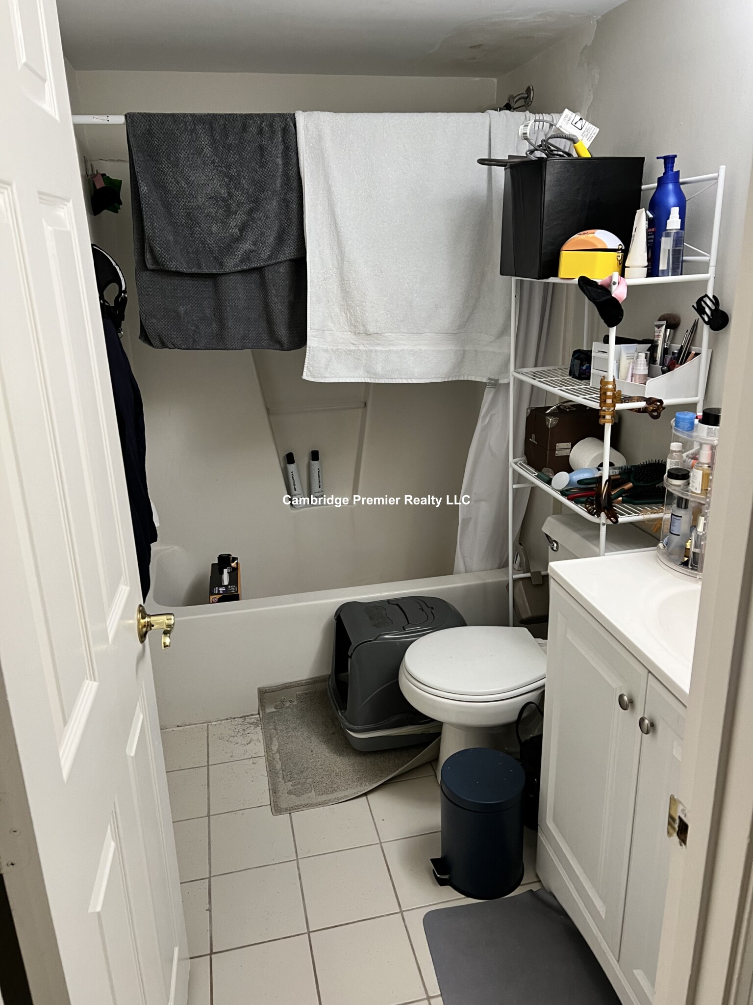 16 Elmer St, West Cambridge