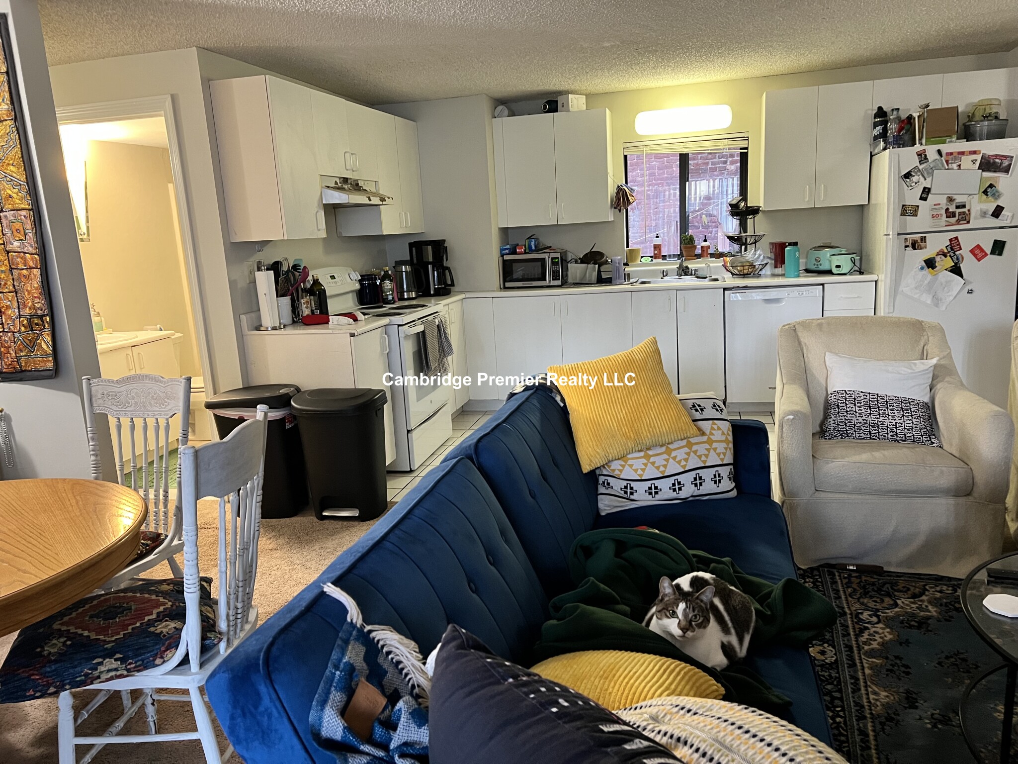 16 Elmer St, West Cambridge