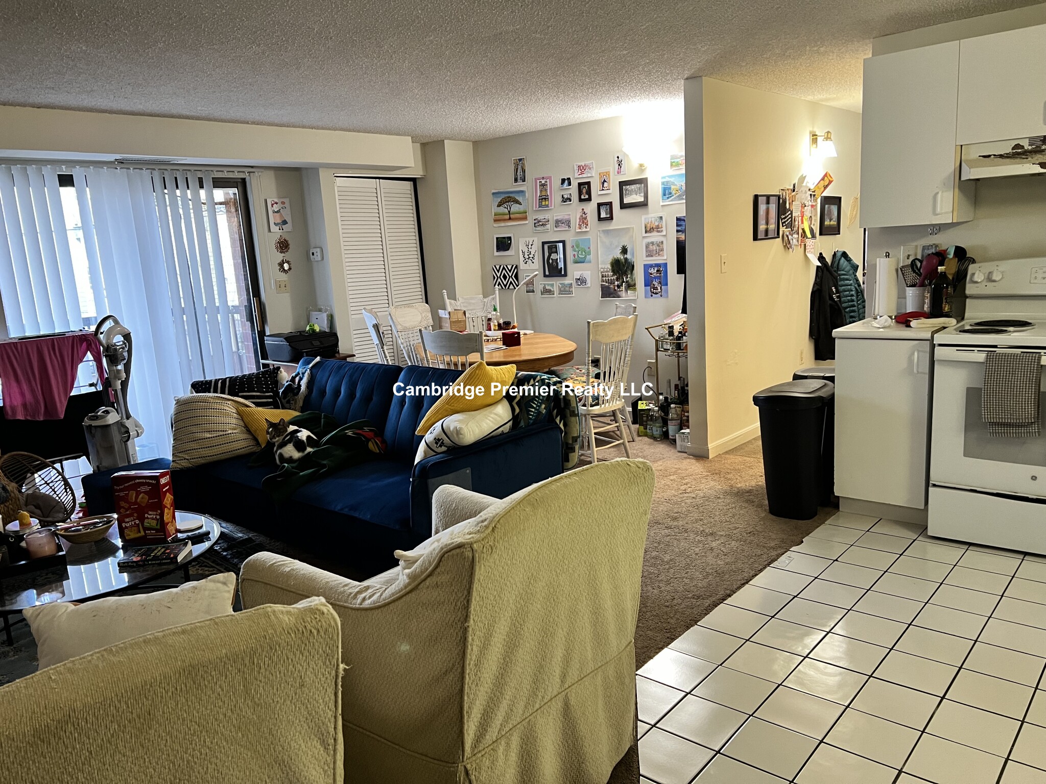 16 Elmer St, West Cambridge