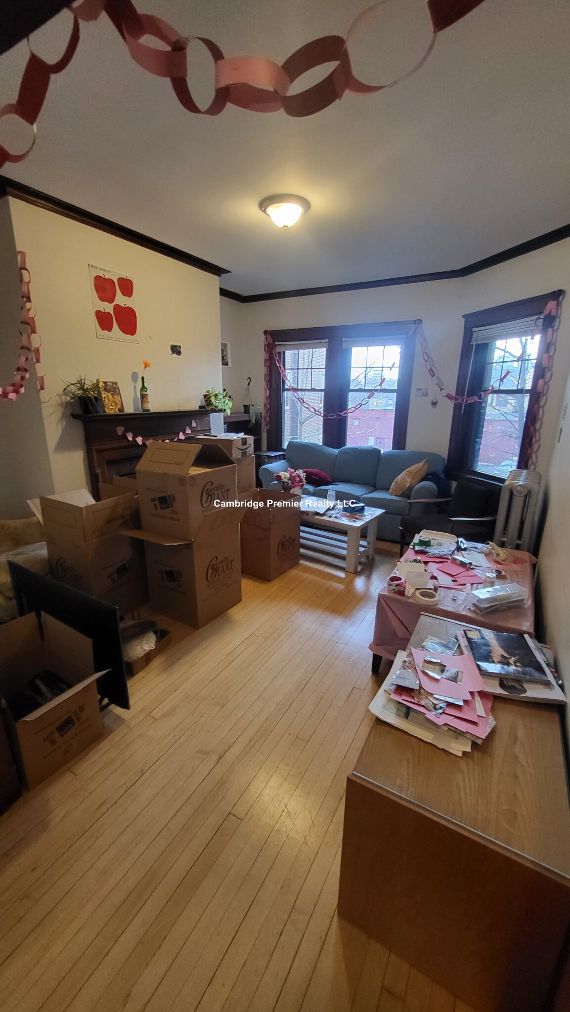 5 Linnaean St, Harvard Square