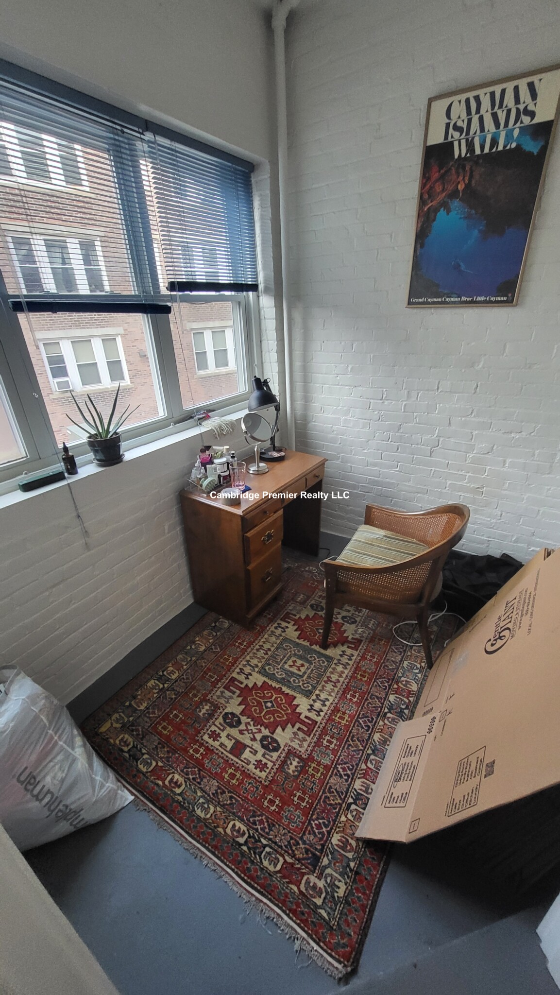 5 Linnaean St, Harvard Square