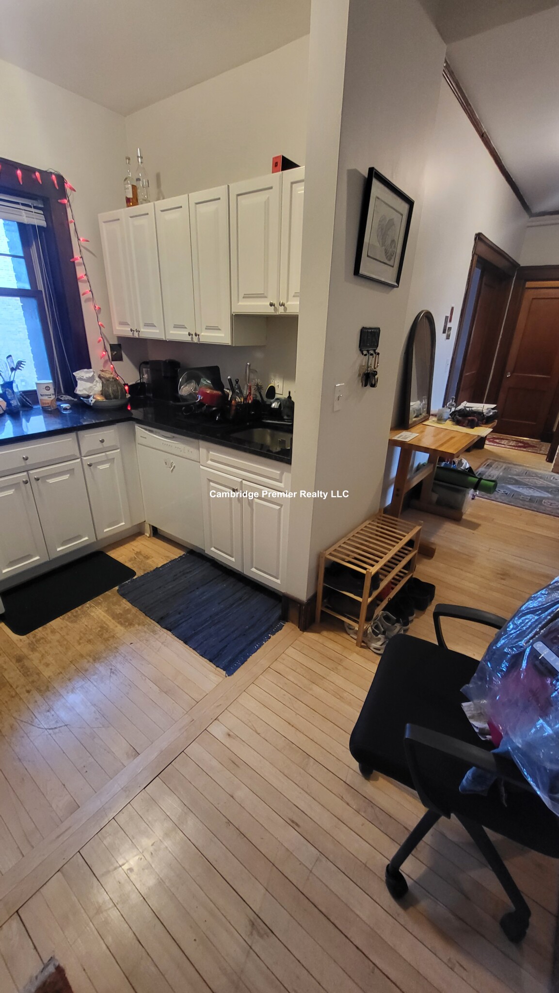 5 Linnaean St, Harvard Square