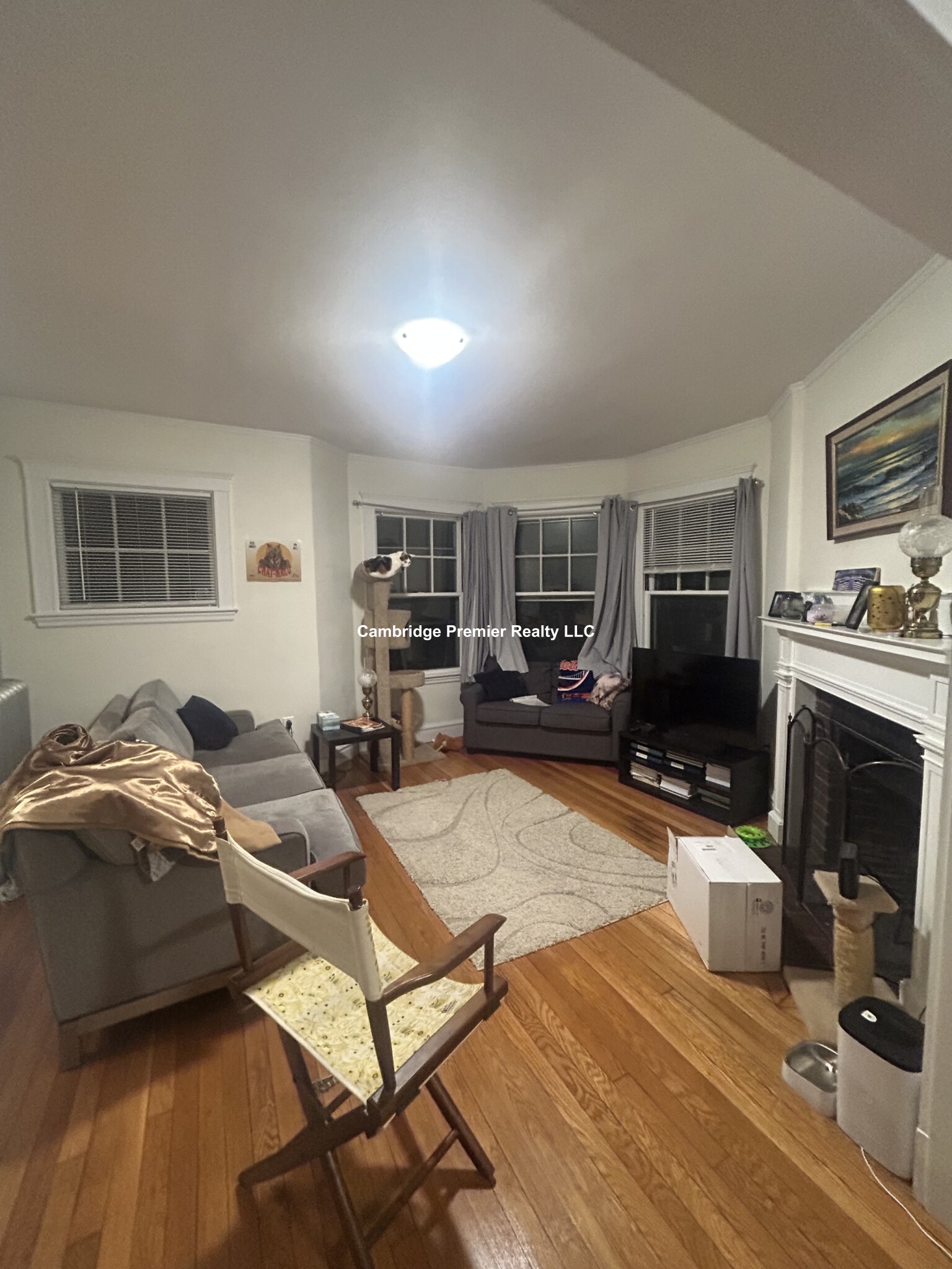 33 Concord Ave, Neighborhood Nine