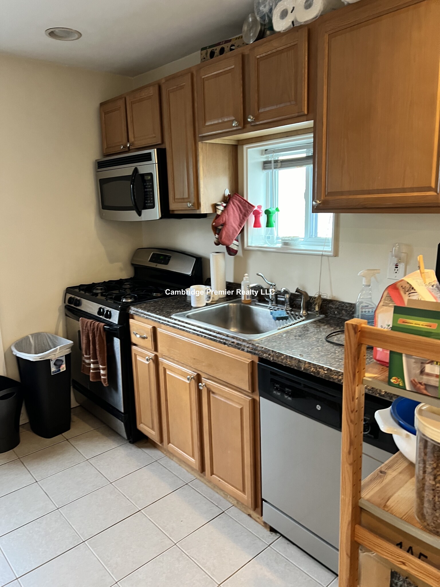 53 Harding St, Wellington-Harrington