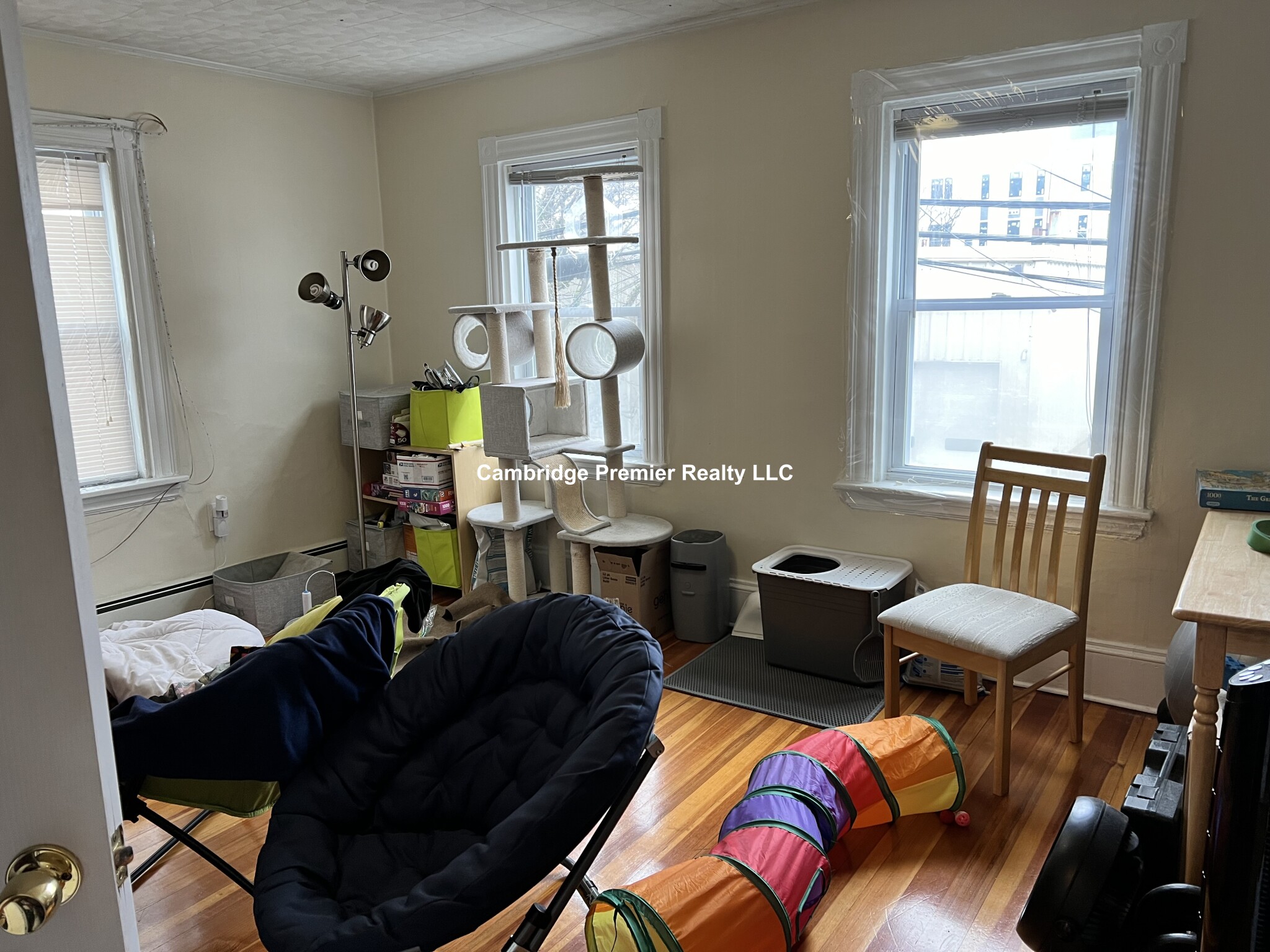 53 Harding St, Wellington-Harrington