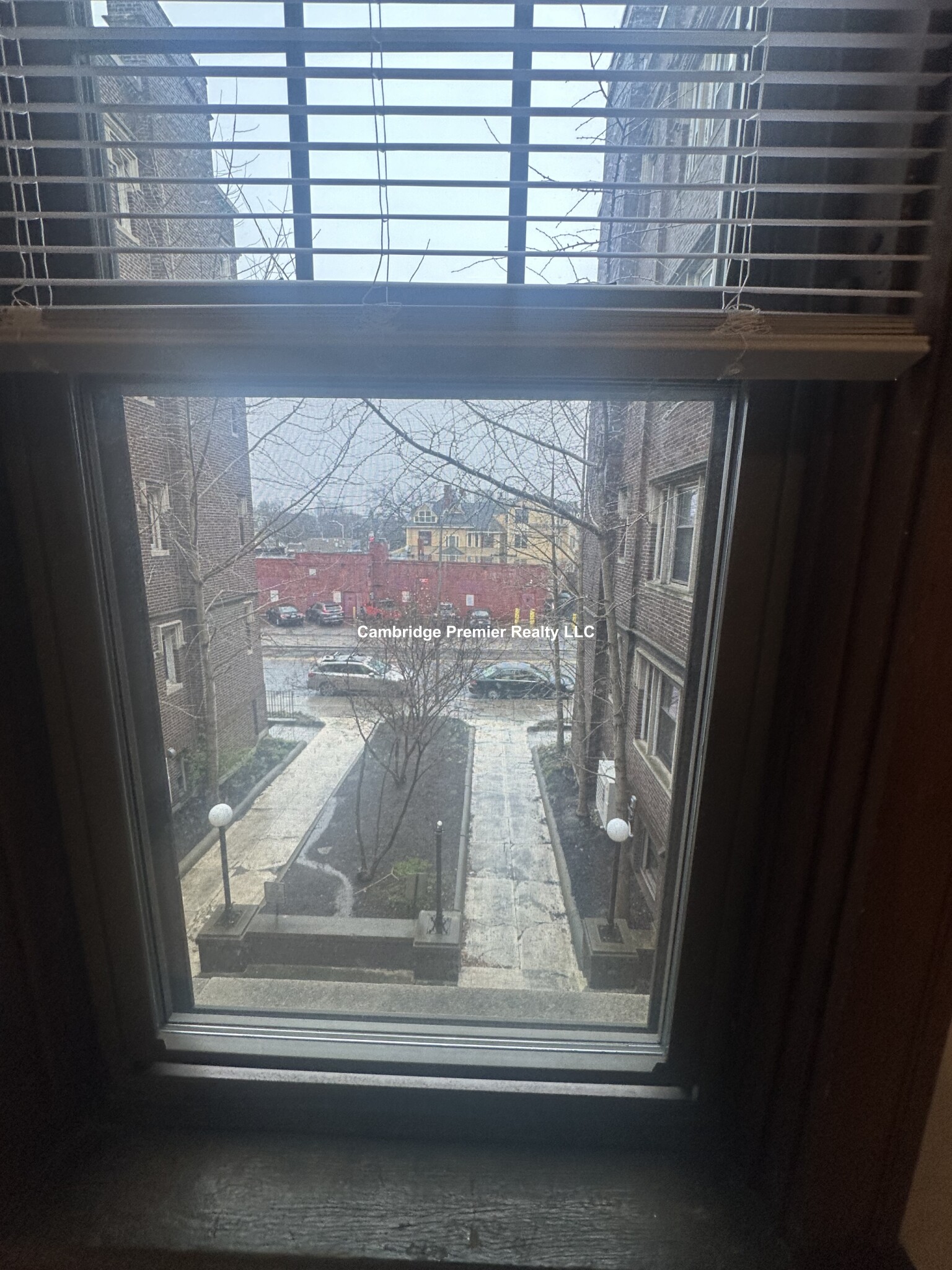 5 Linnaean St, Neighborhood Nine