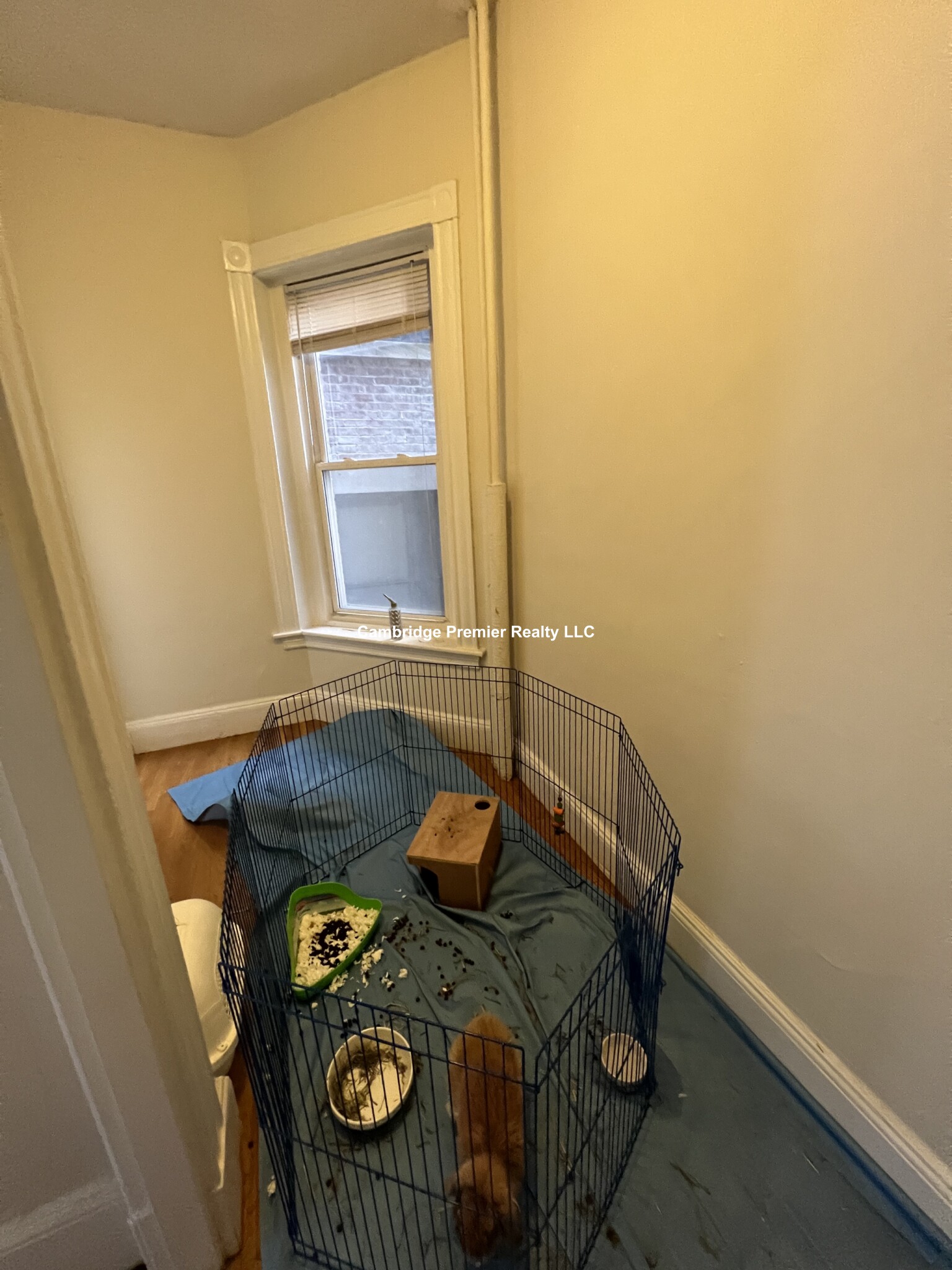 891 Massachusetts Ave, Central Square