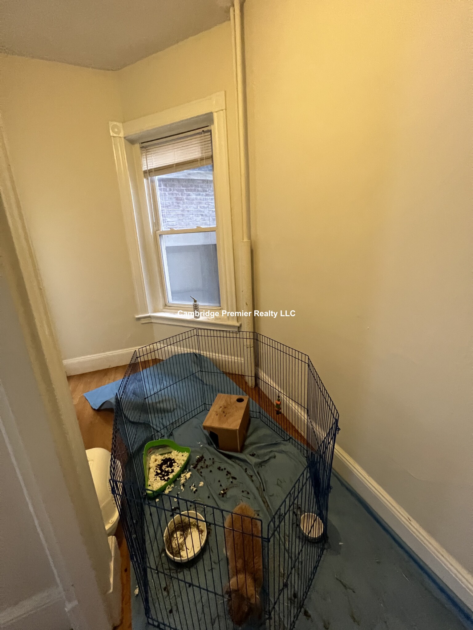 891 Massachusetts Ave, Central Square